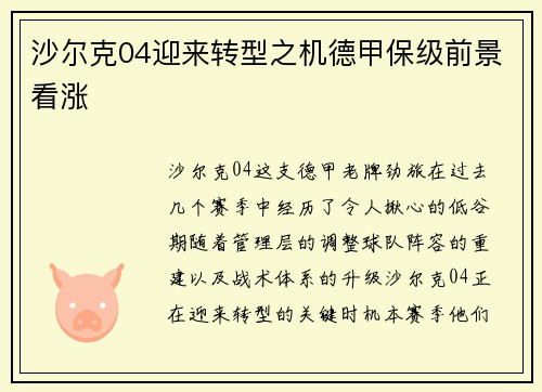 沙尔克04迎来转型之机德甲保级前景看涨