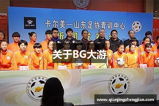 关于BG大游